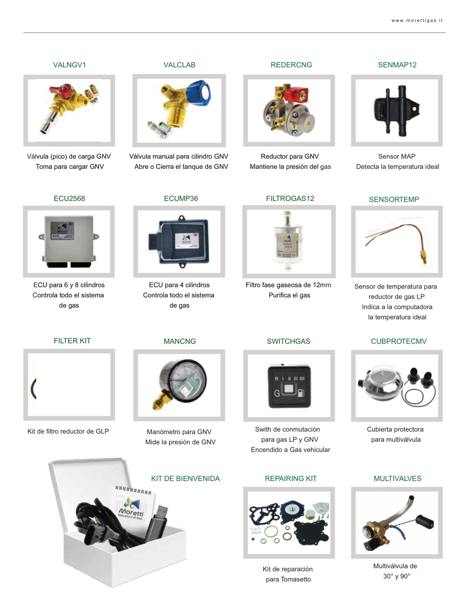 Refacciones Moretti Gas LP y GNV